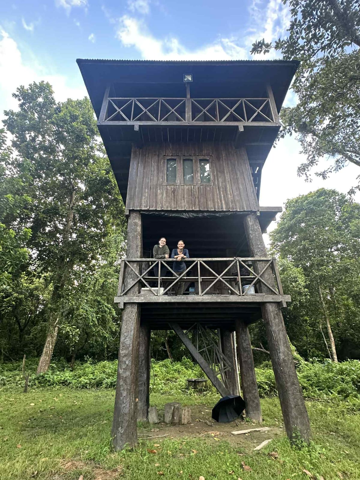 Jungle Expert Treks and Tours