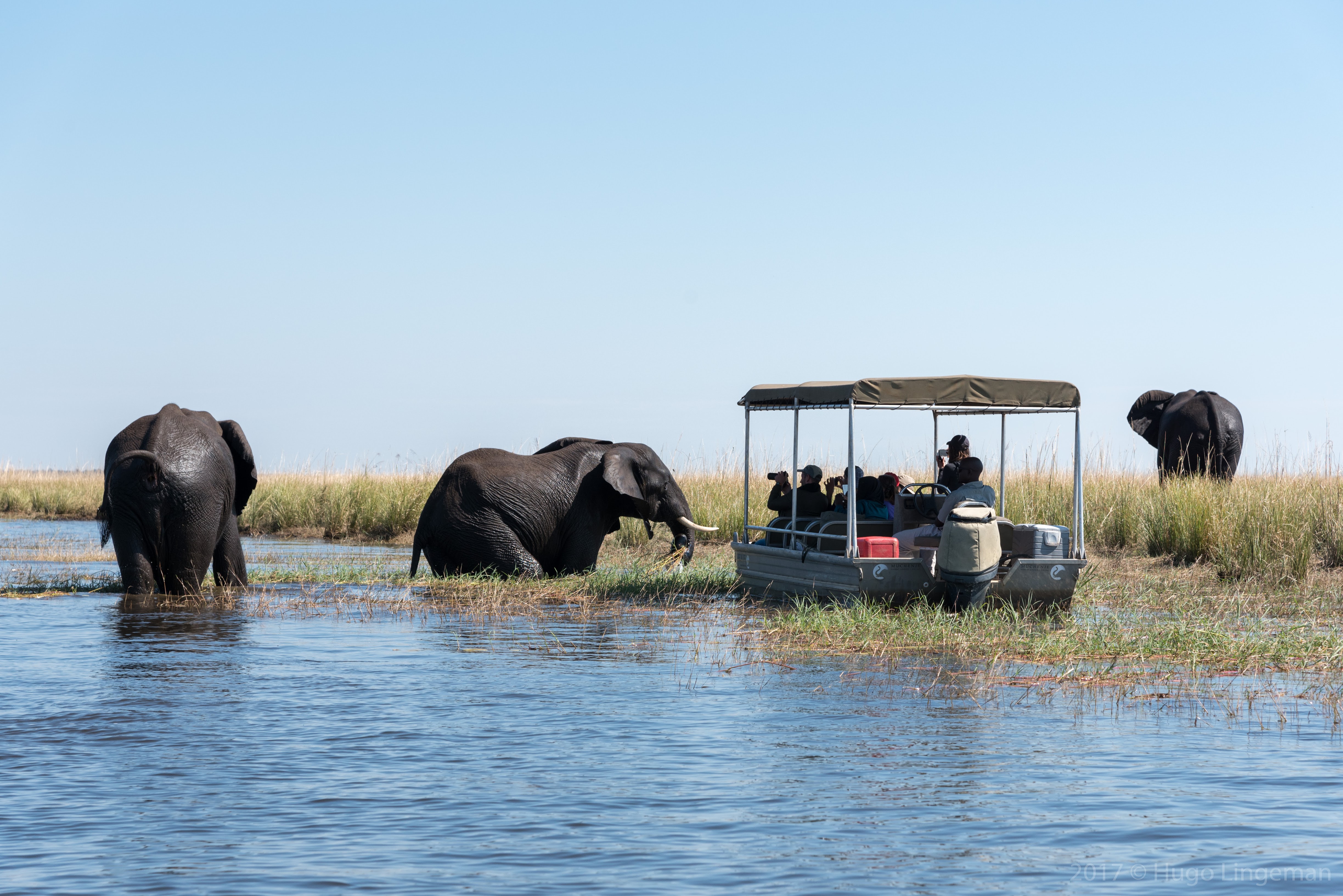 BUSH WILDERNESS SAFARIS