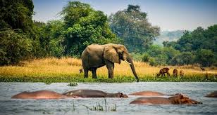 OPENBILL SAFARIS UGANDA