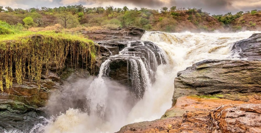 OPENBILL SAFARIS UGANDA