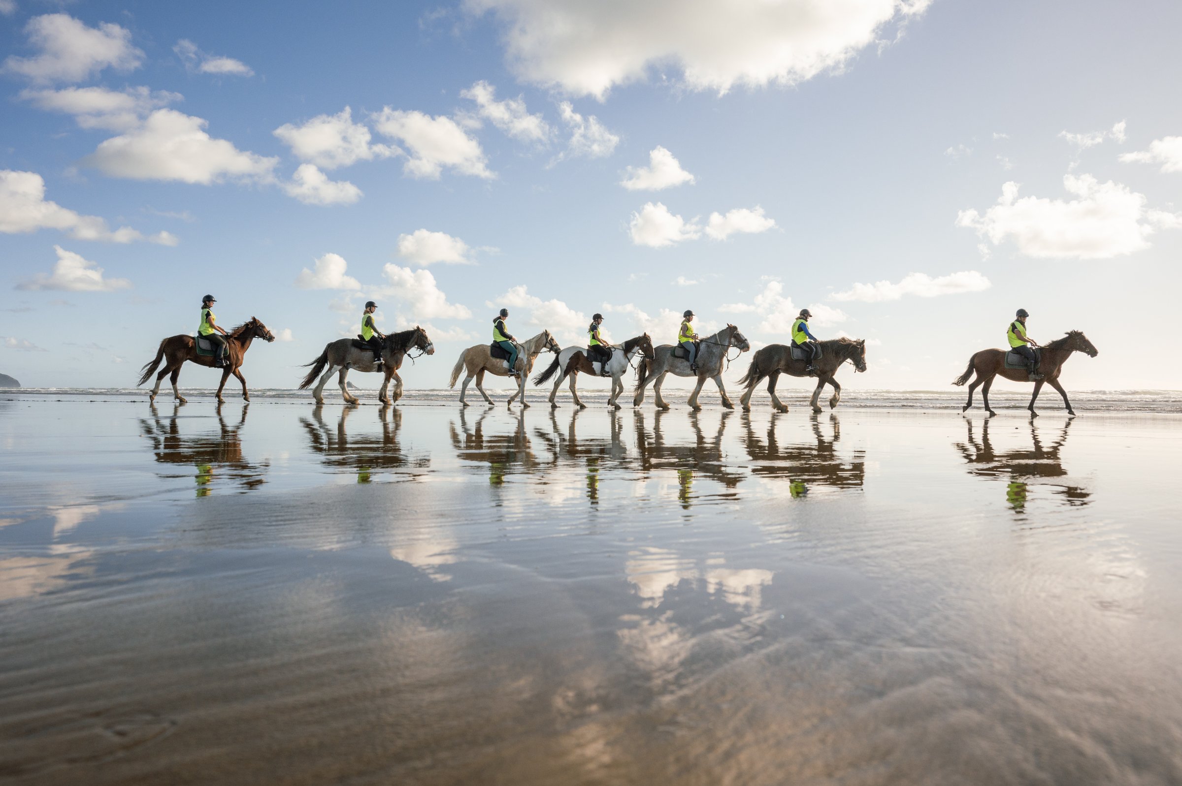 Muriwai Beach Horse Treks