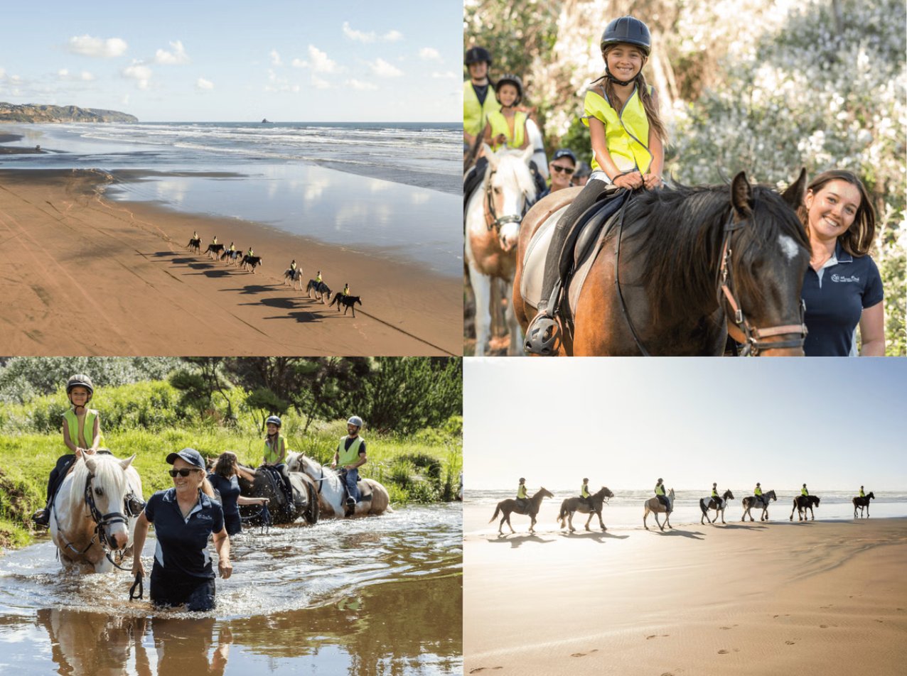 Muriwai Beach Horse Treks
