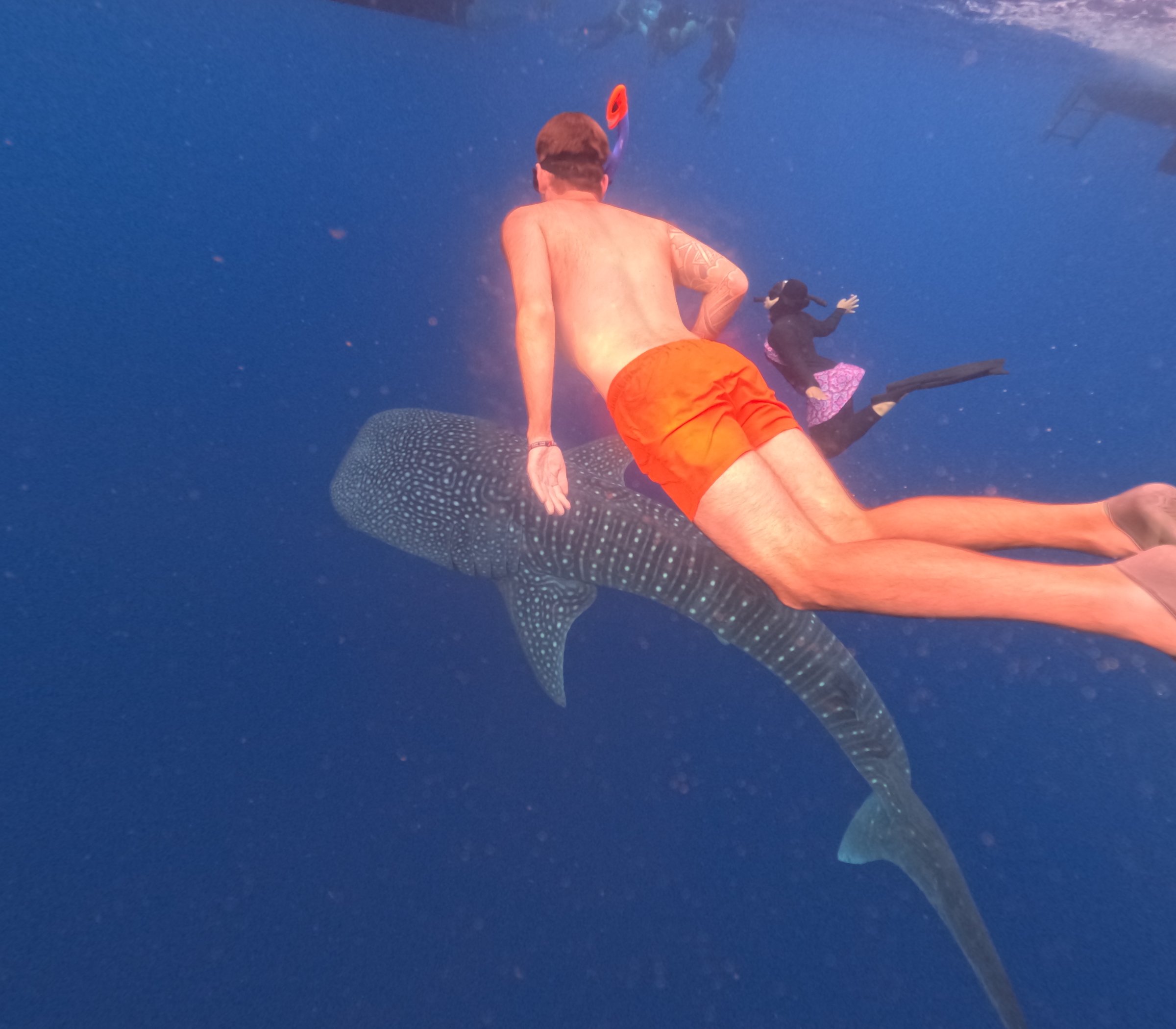 Sumbawa Explore Tour