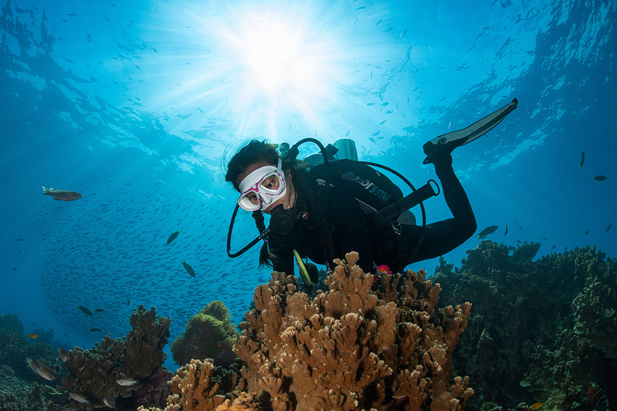 Tioman Dive Resort