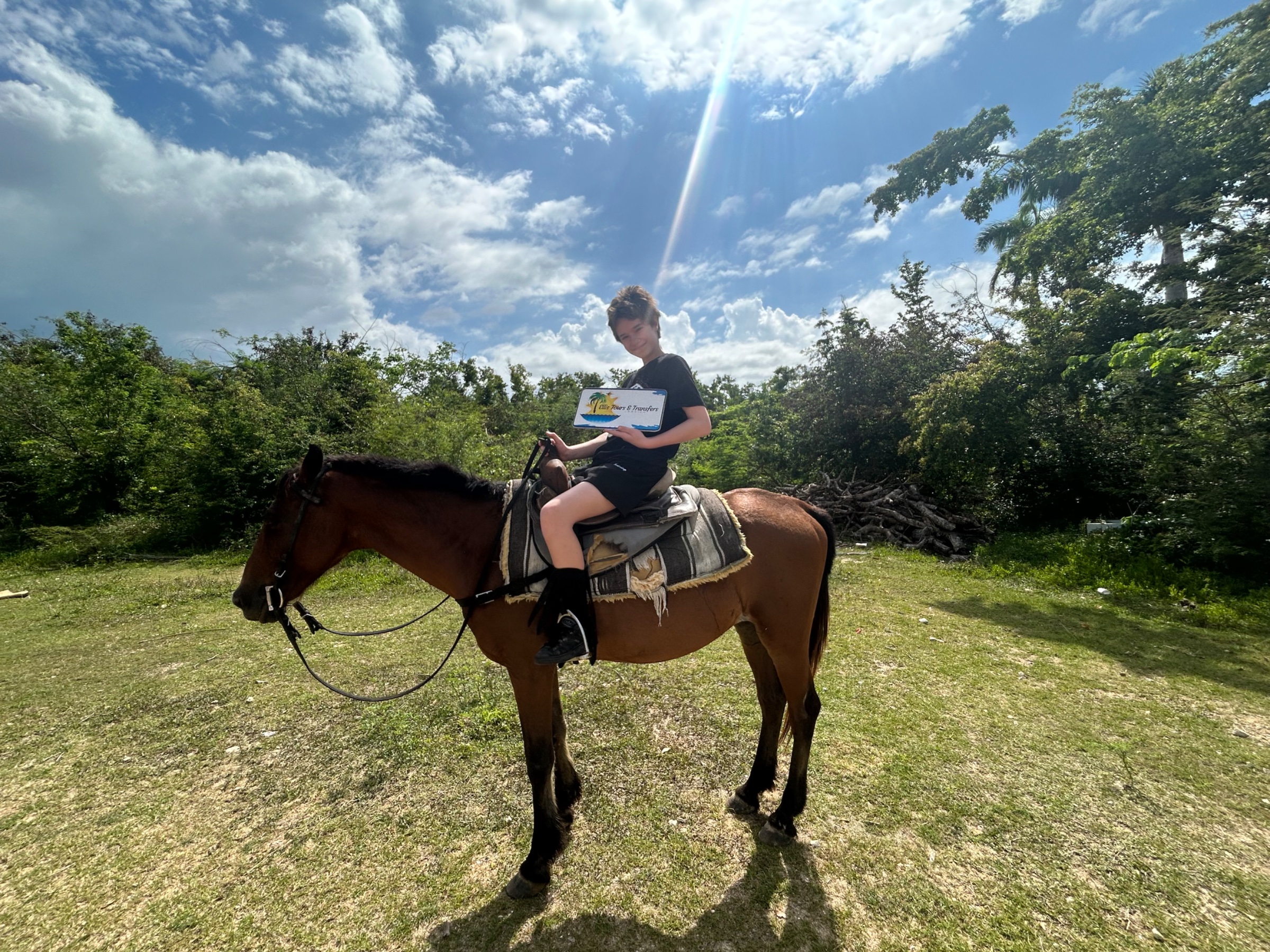 Ellis Tours and Transfers Jamaica