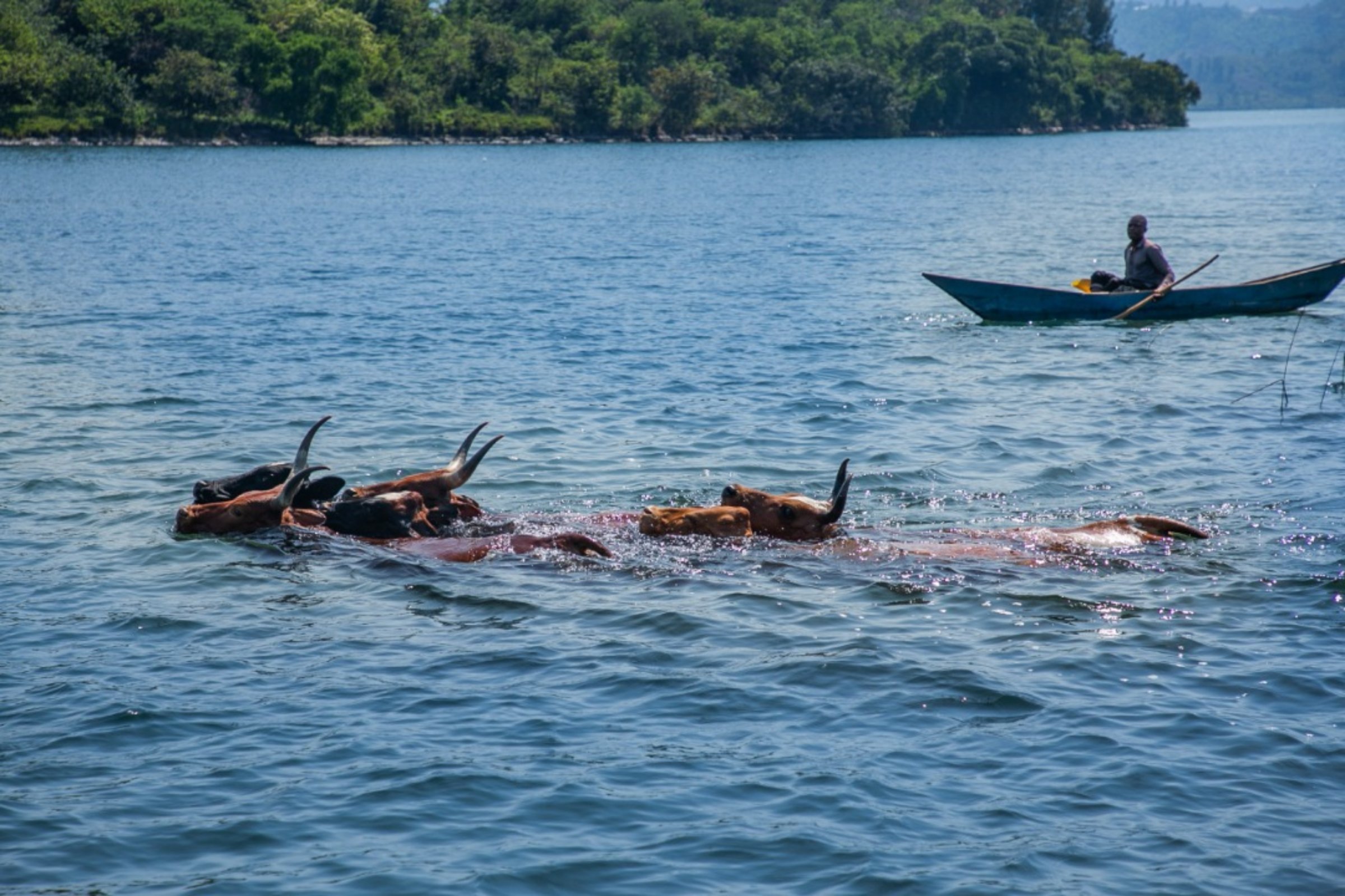 Private Tours Rwanda