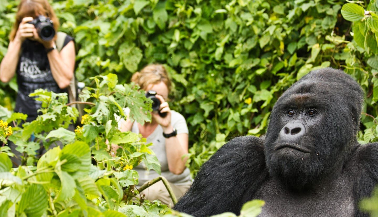 Private Tours Rwanda