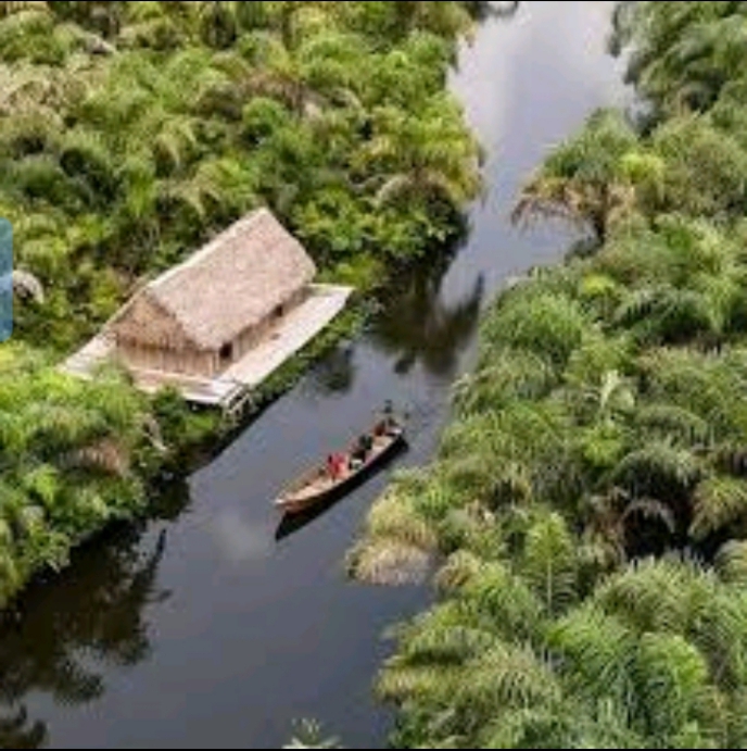 Visit the Black River
