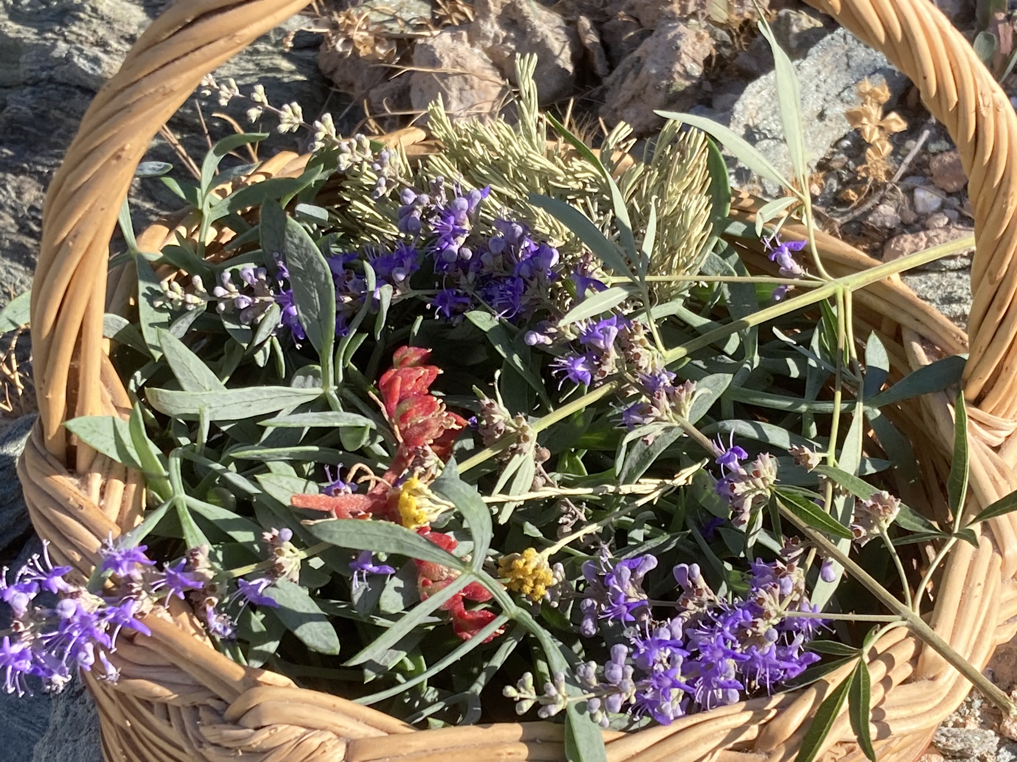 Maria Krina, cooking tales