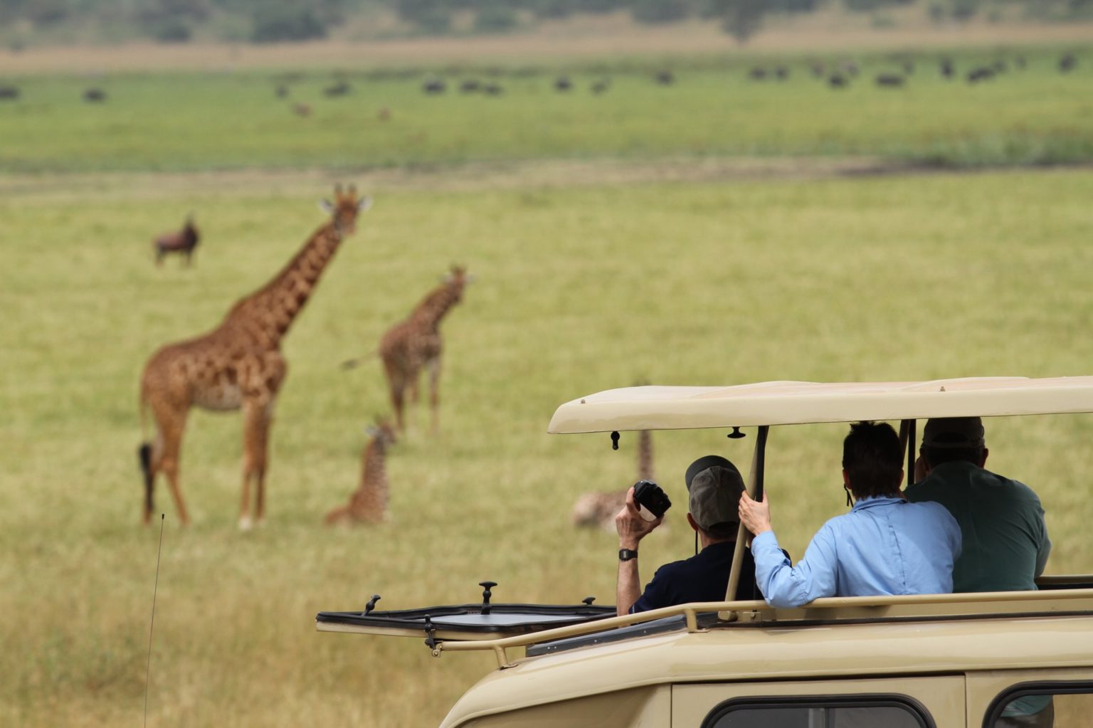 Private Tours Rwanda