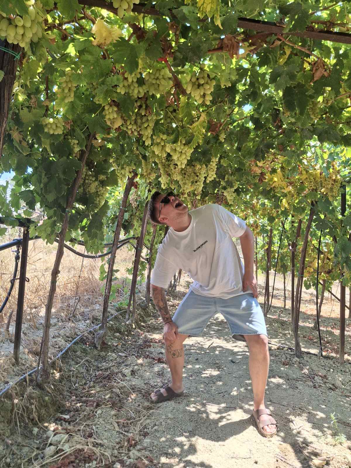 Fournarakis Winery