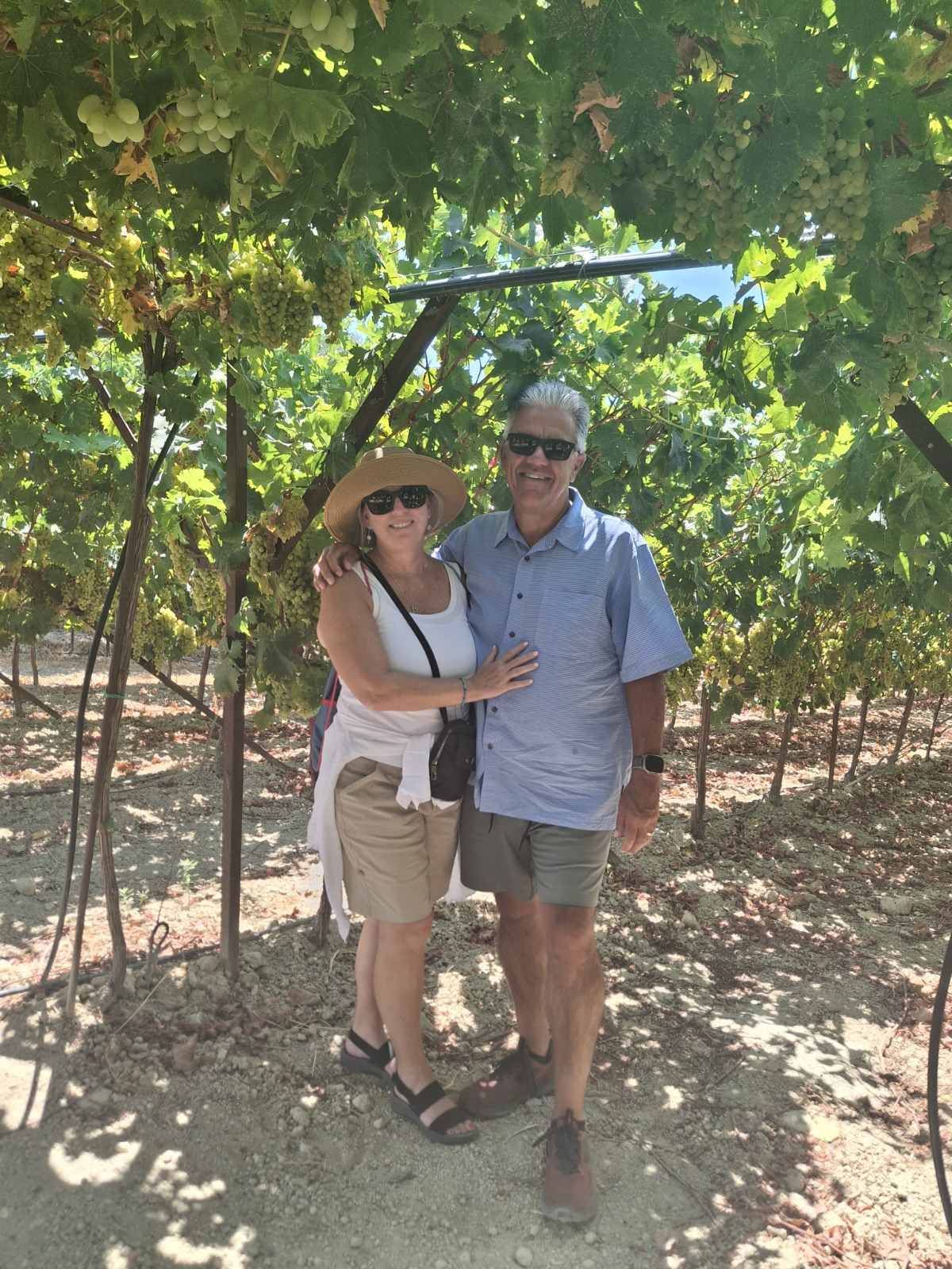 Fournarakis Winery