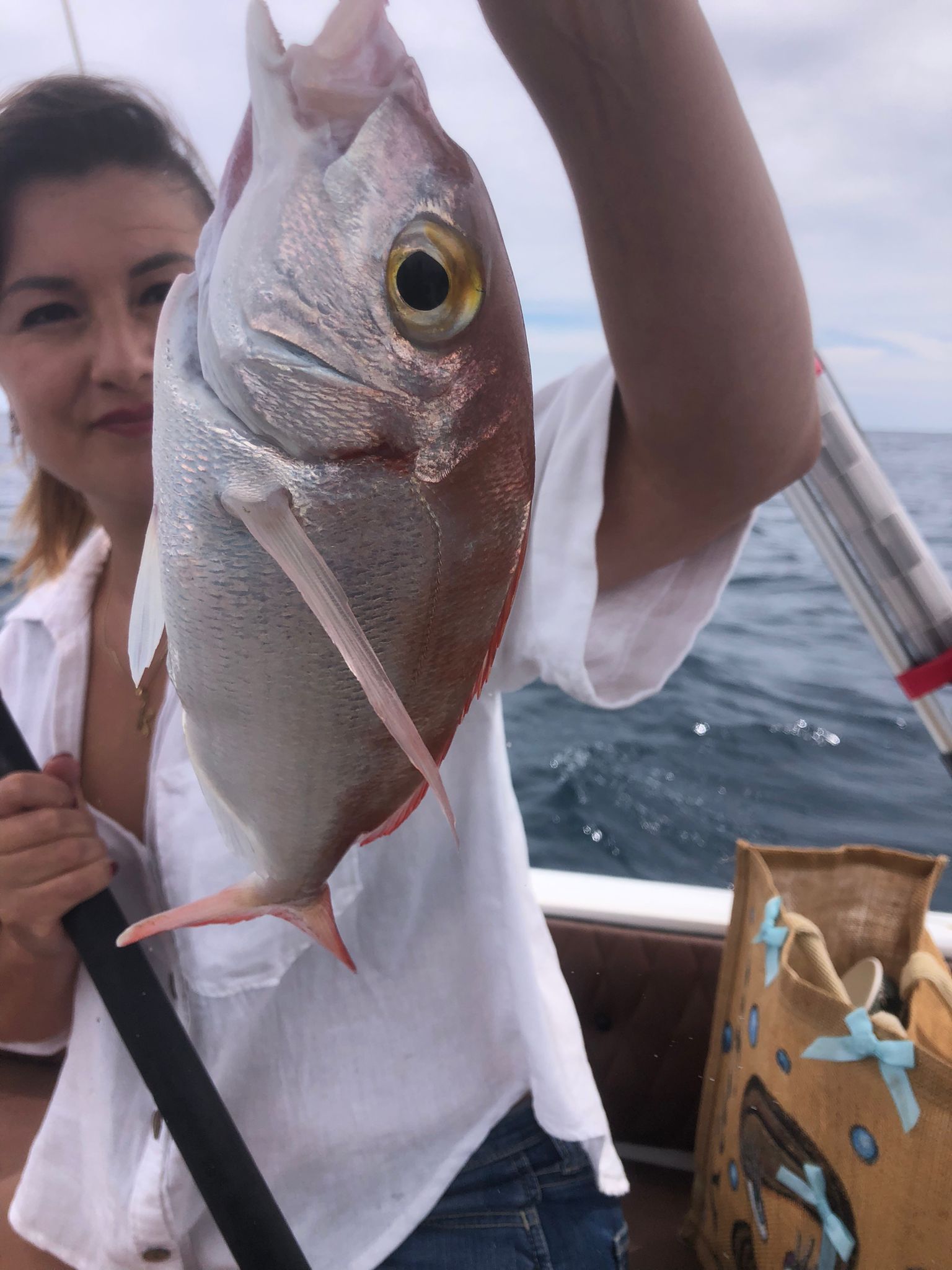 Eventos Nauticos Fuengirola