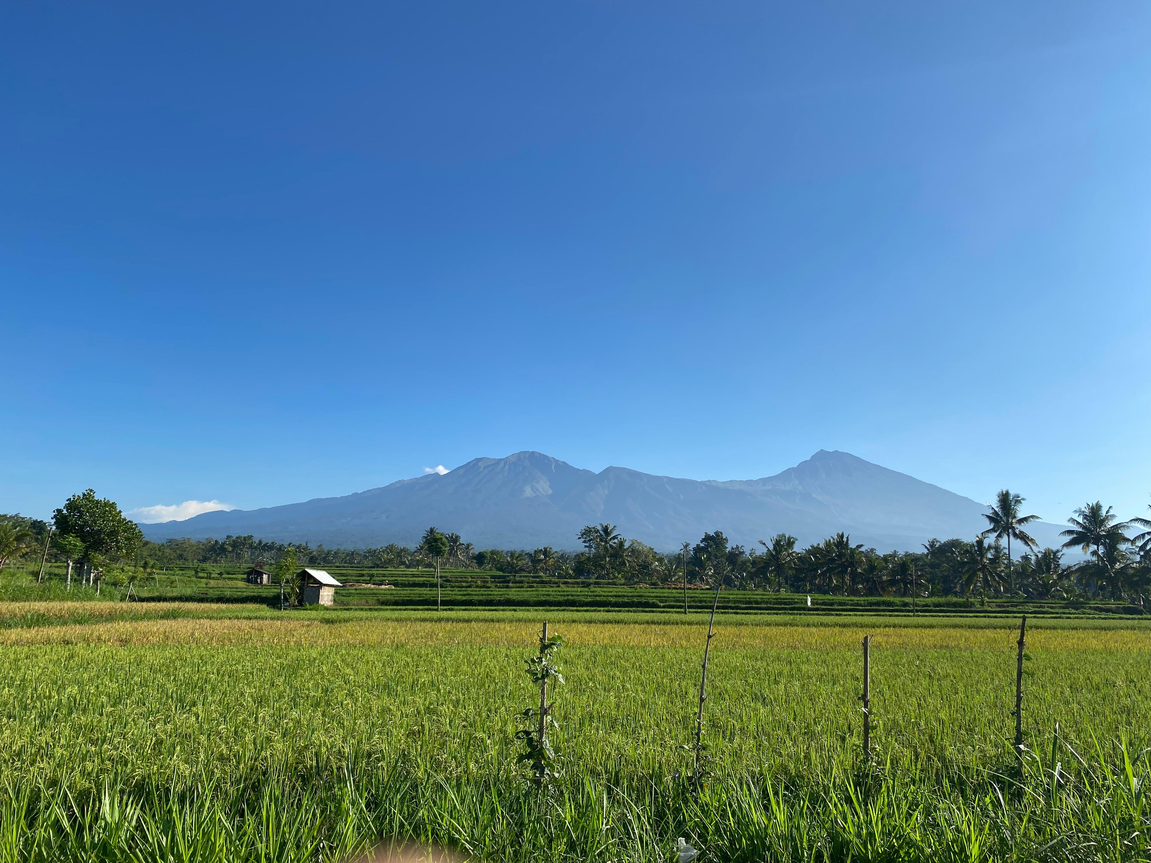 TOUR One day trip in Lombok