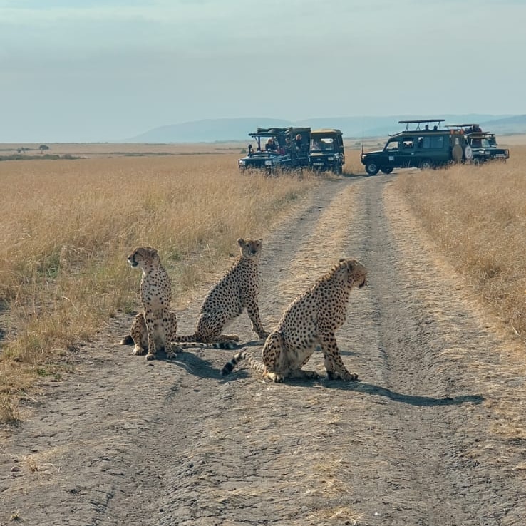 Leisure Escapes Safaris Ltd