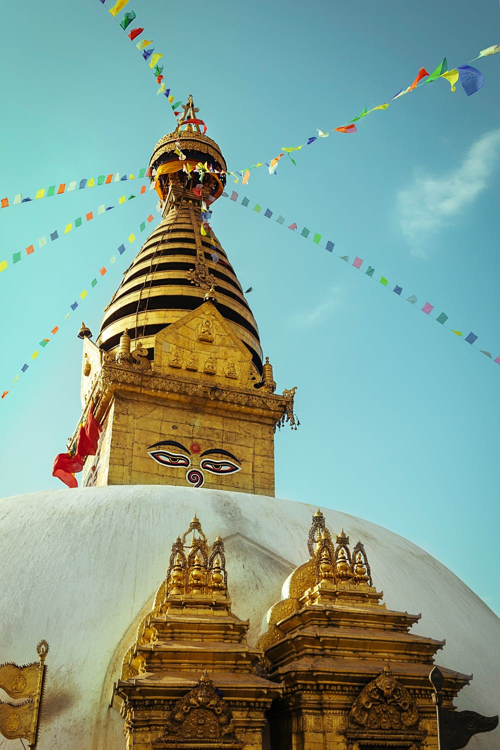 Ambassador Himalaya Treks