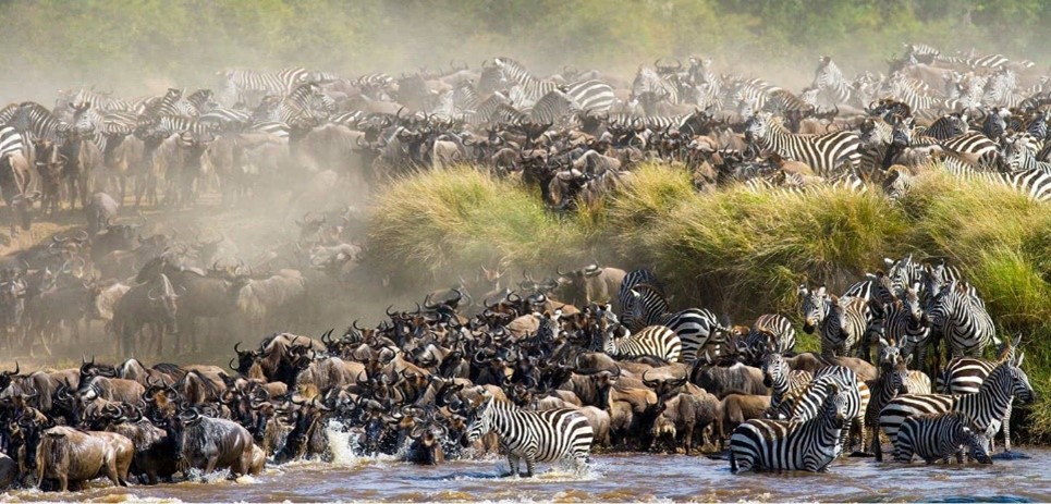 Tukutane Kenya Safaris