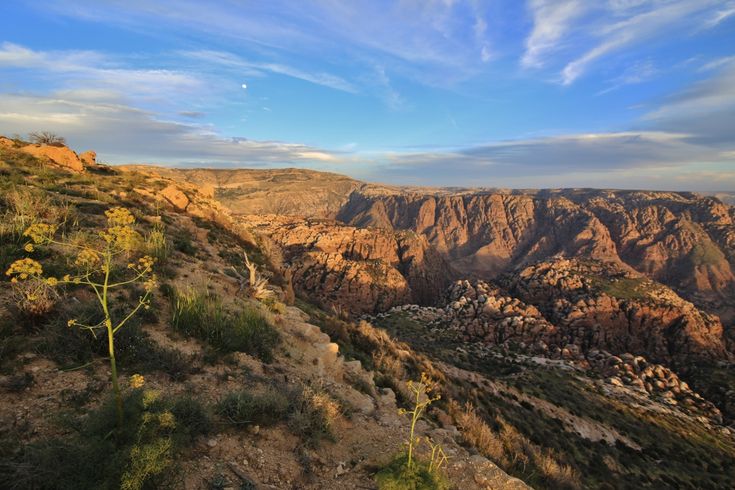 Desert Paramours Tours