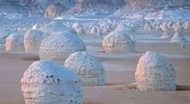 A full day tour in giza