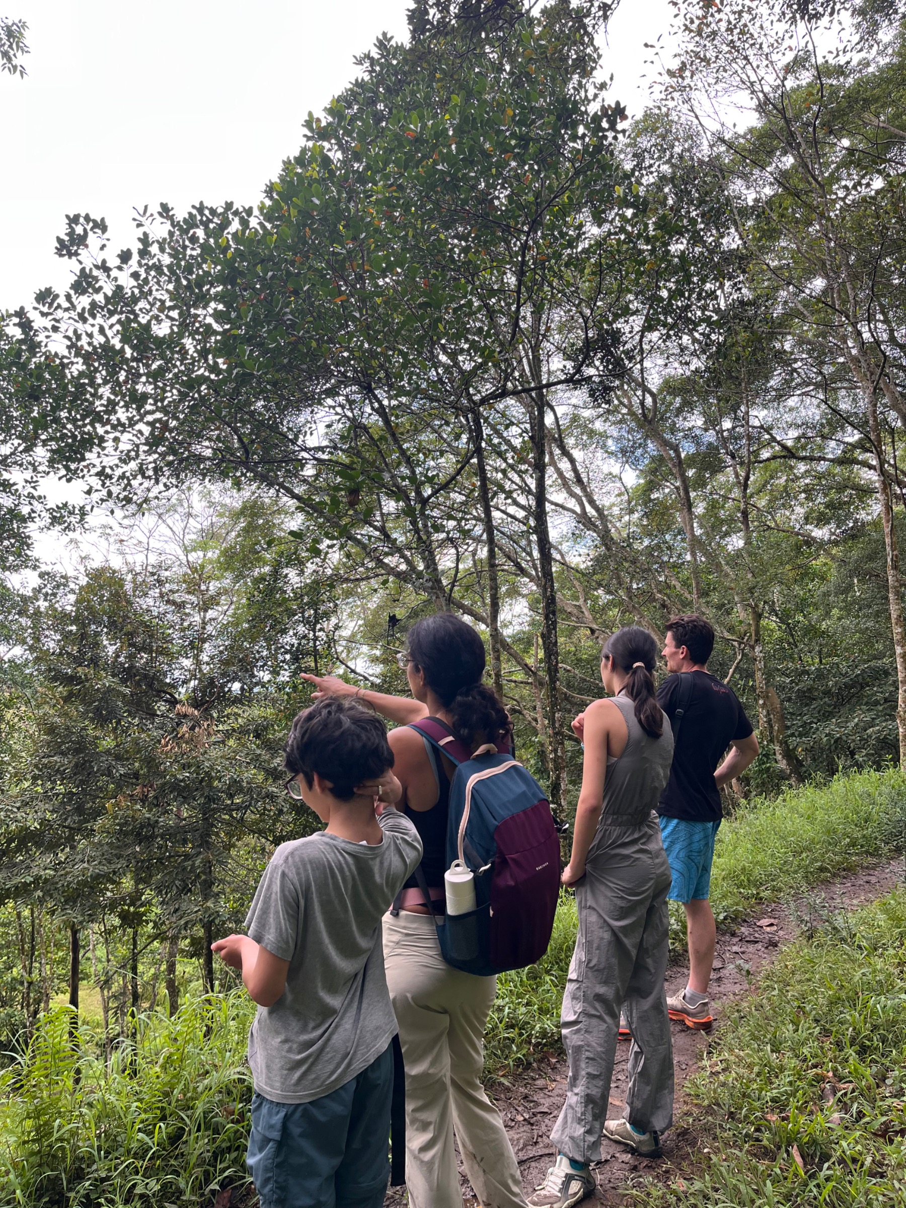 Tetebatu Erlebnis