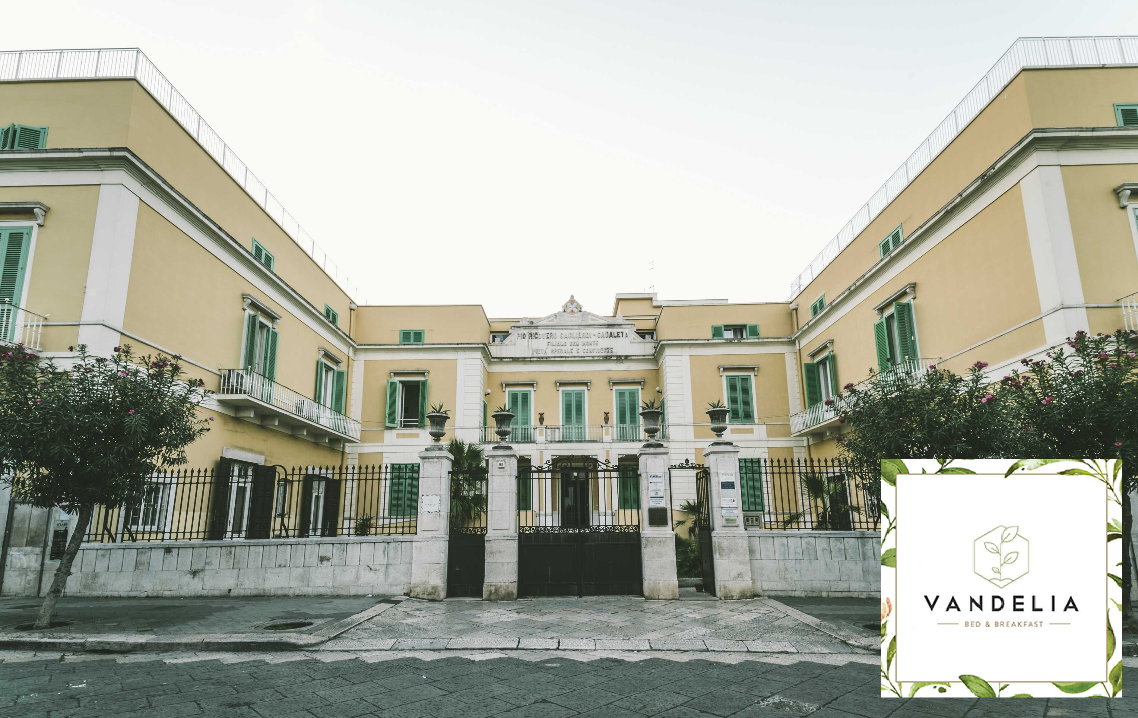 B&B Vandelia