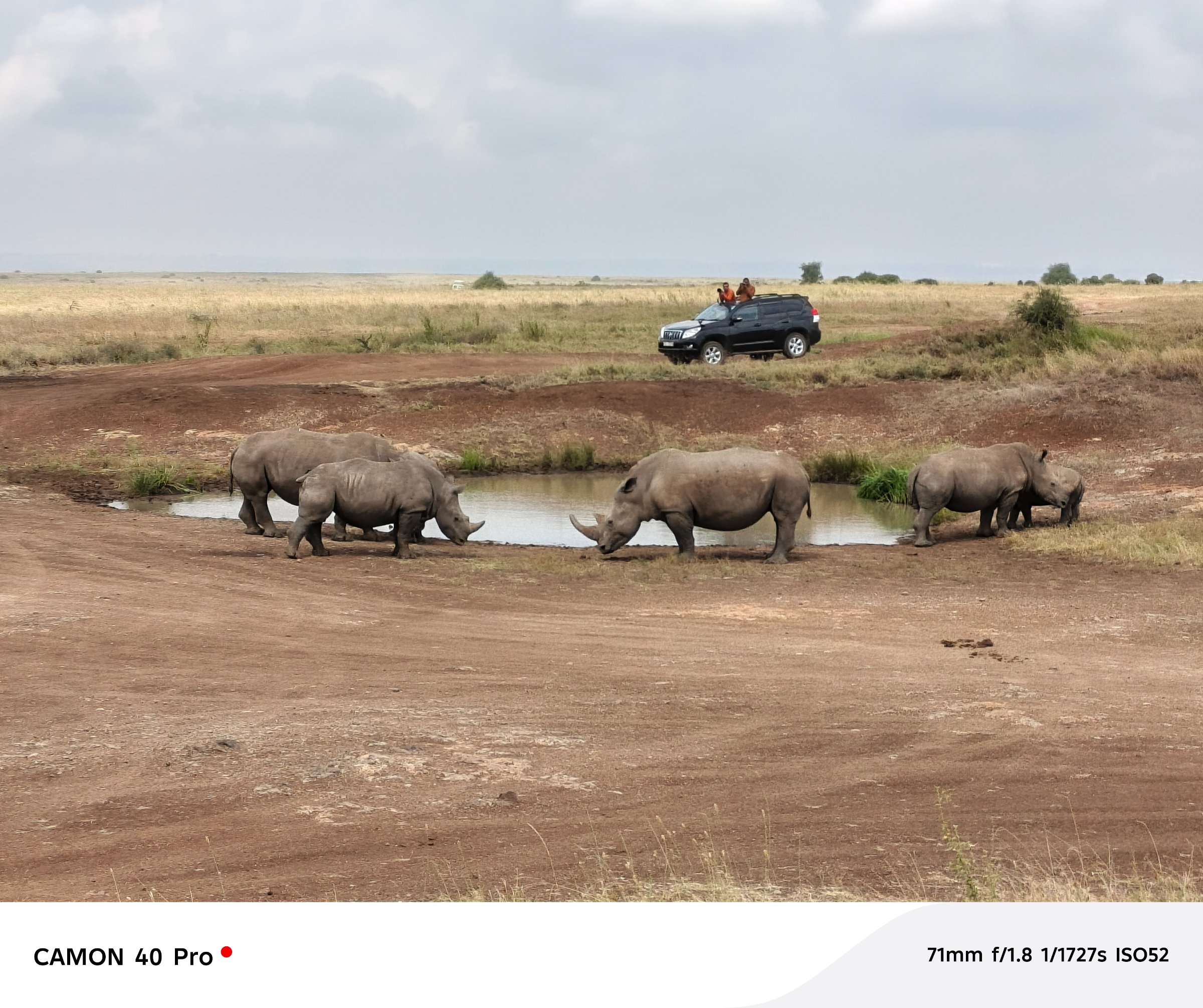 Nairobi city safaris