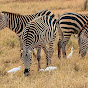 Holidayworks Africa Tours and Safaris
