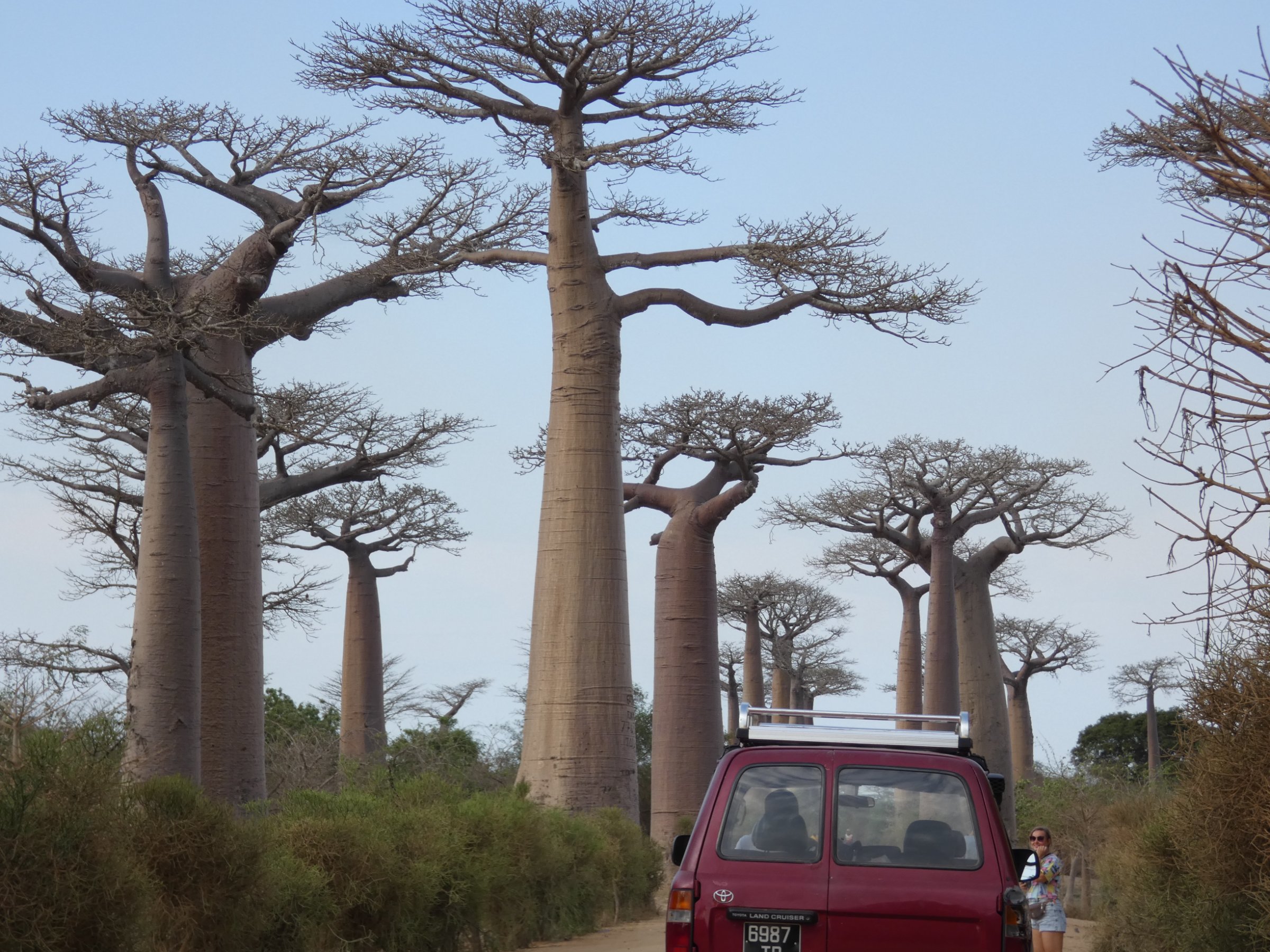 TSINGY TOUR MADAGASCAR