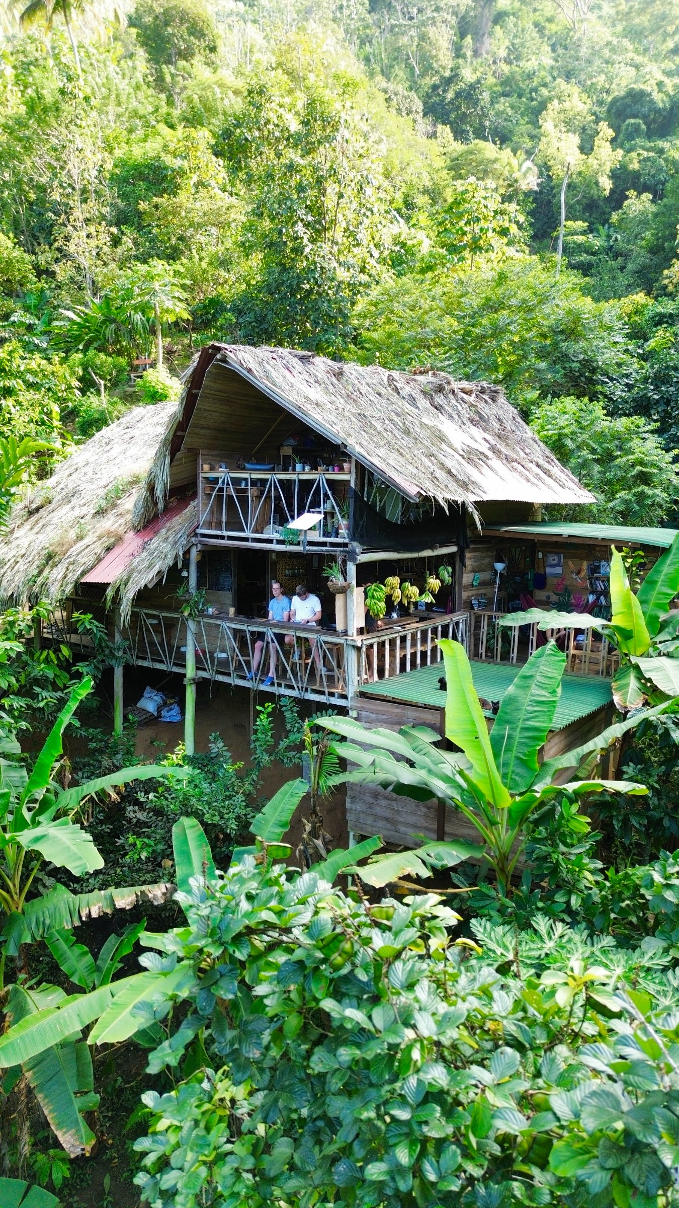 Finca La Selvita