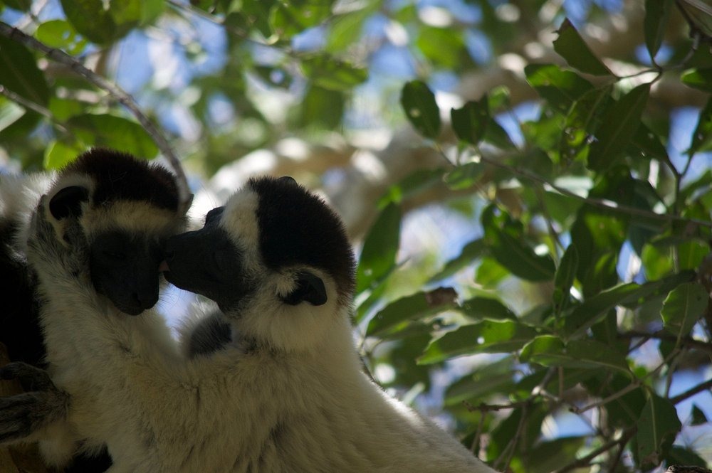 Escale Voyages Madagascar