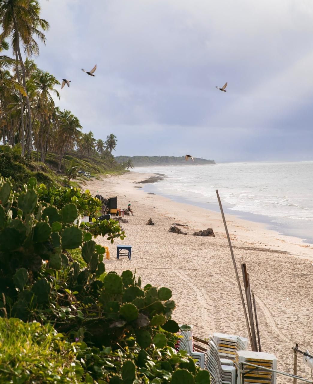 Maré Do Francês