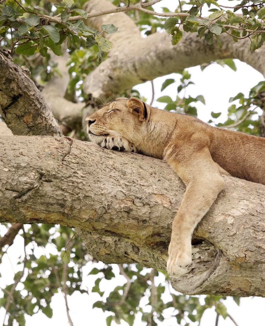 Untamed Routes Africa