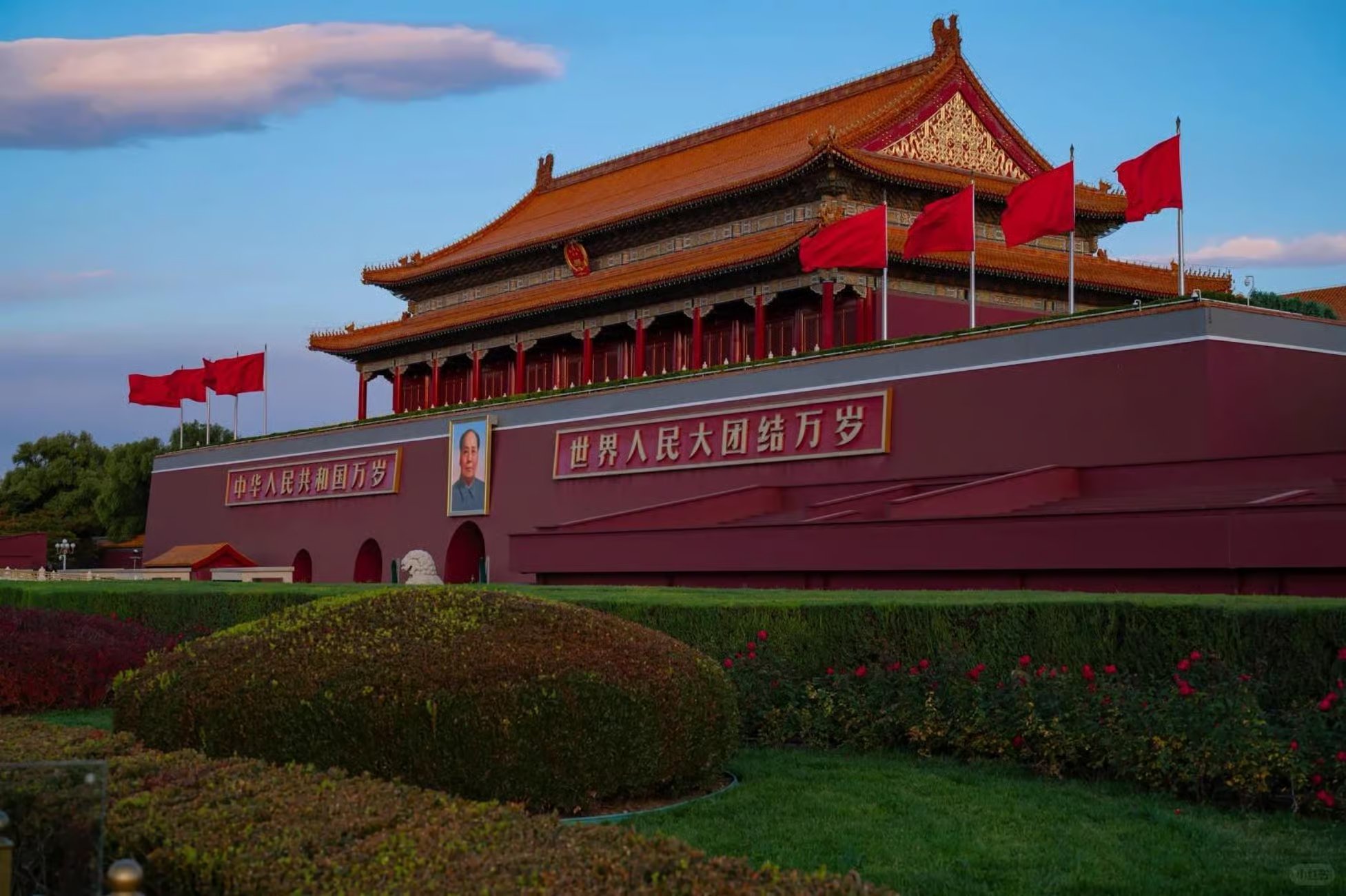 Pinzhiyou International Travel