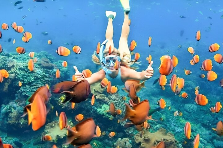 Bali Snorkeling Tour