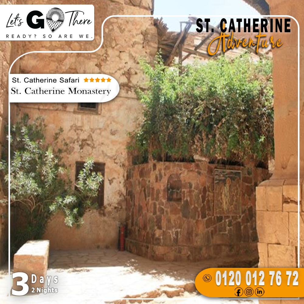 Let's Go There - Hamodi Egypt