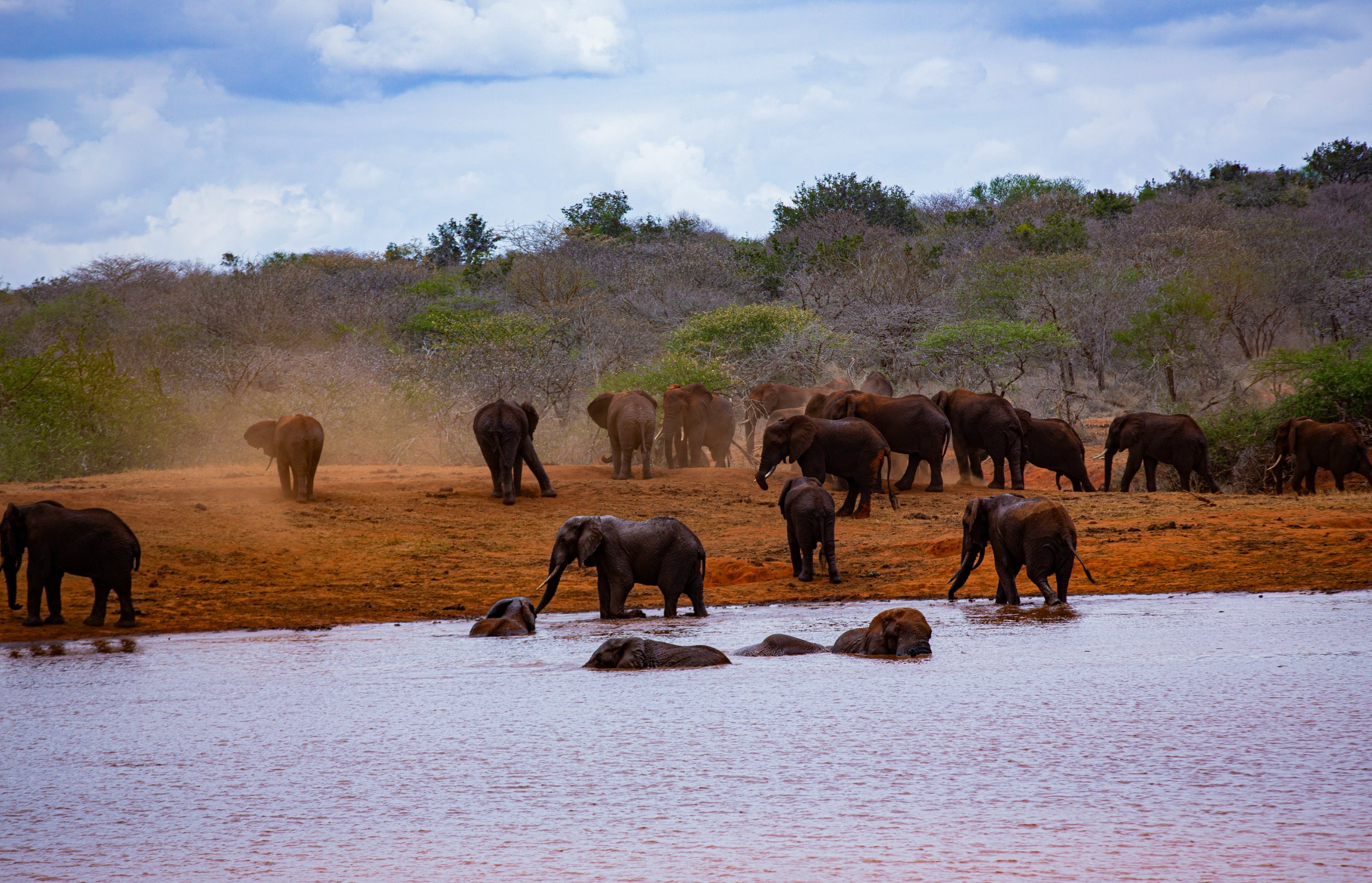 ALMOND SAFARIS LIMITED