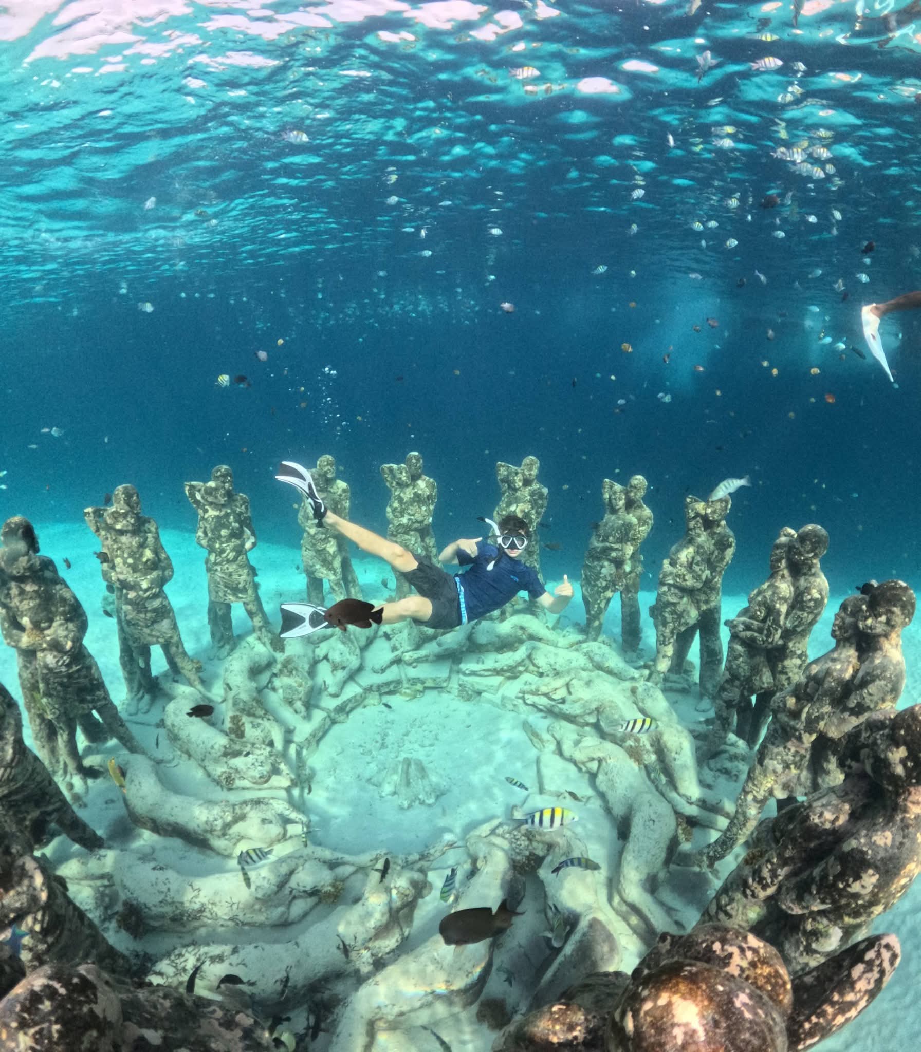 TOUR One day trip in Lombok