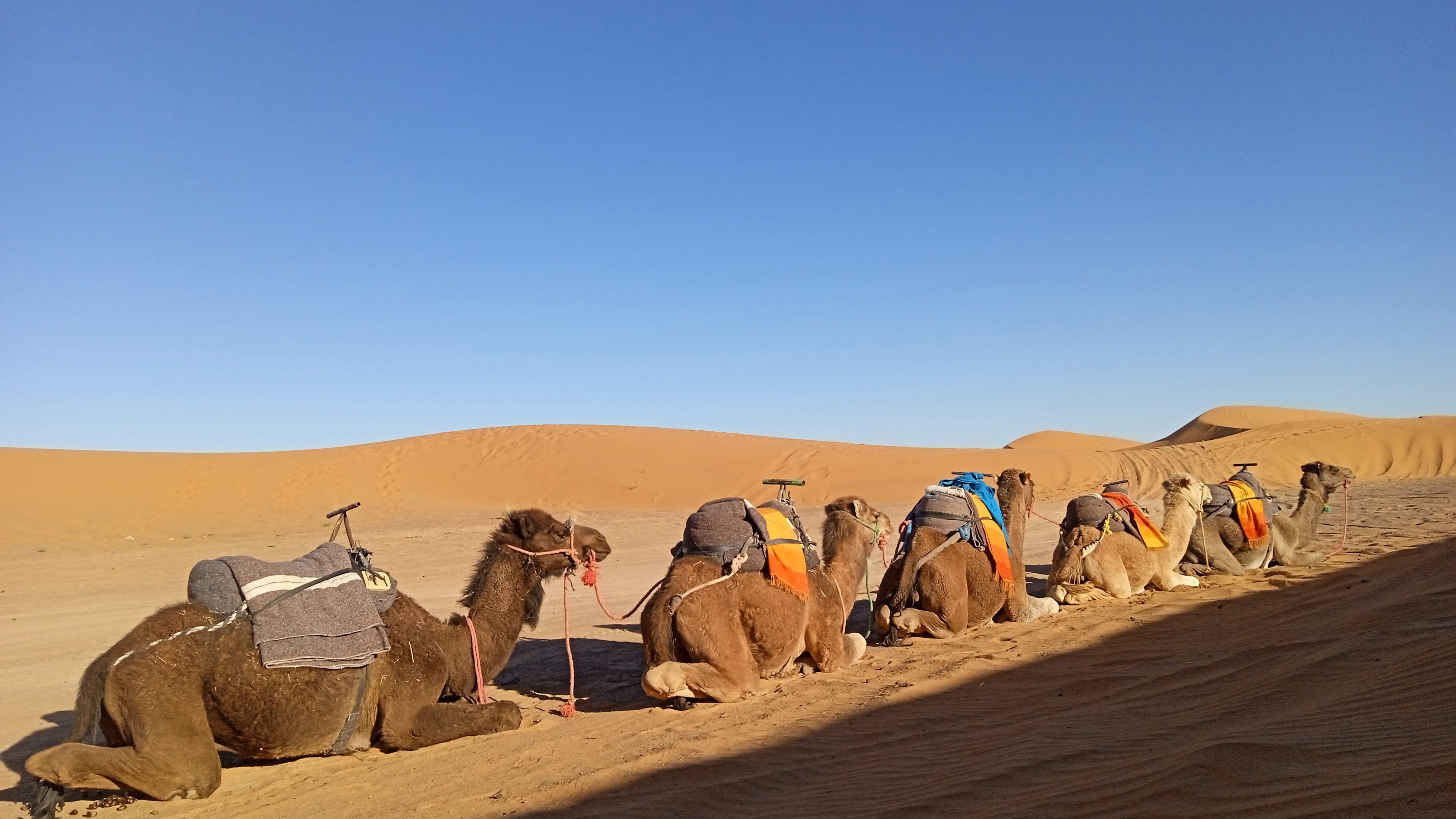 Visit Morocco Africa