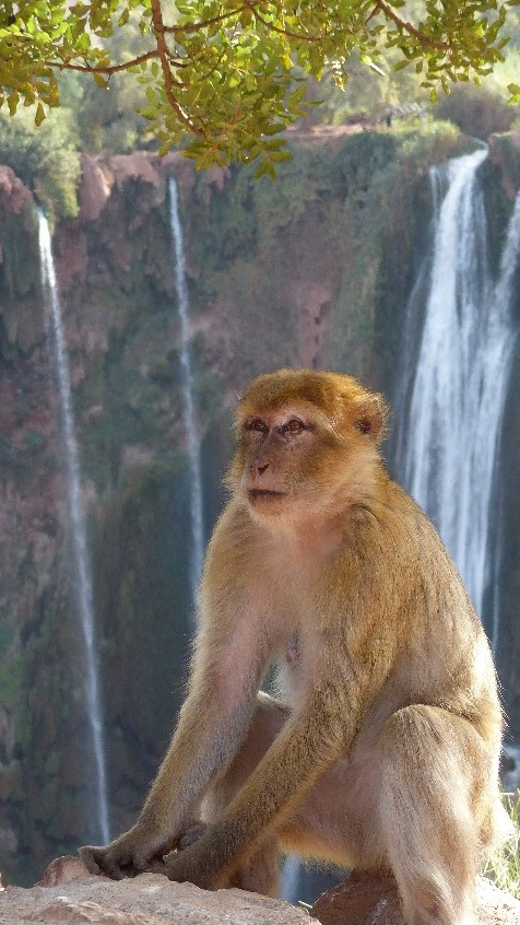 Visit Morocco Africa