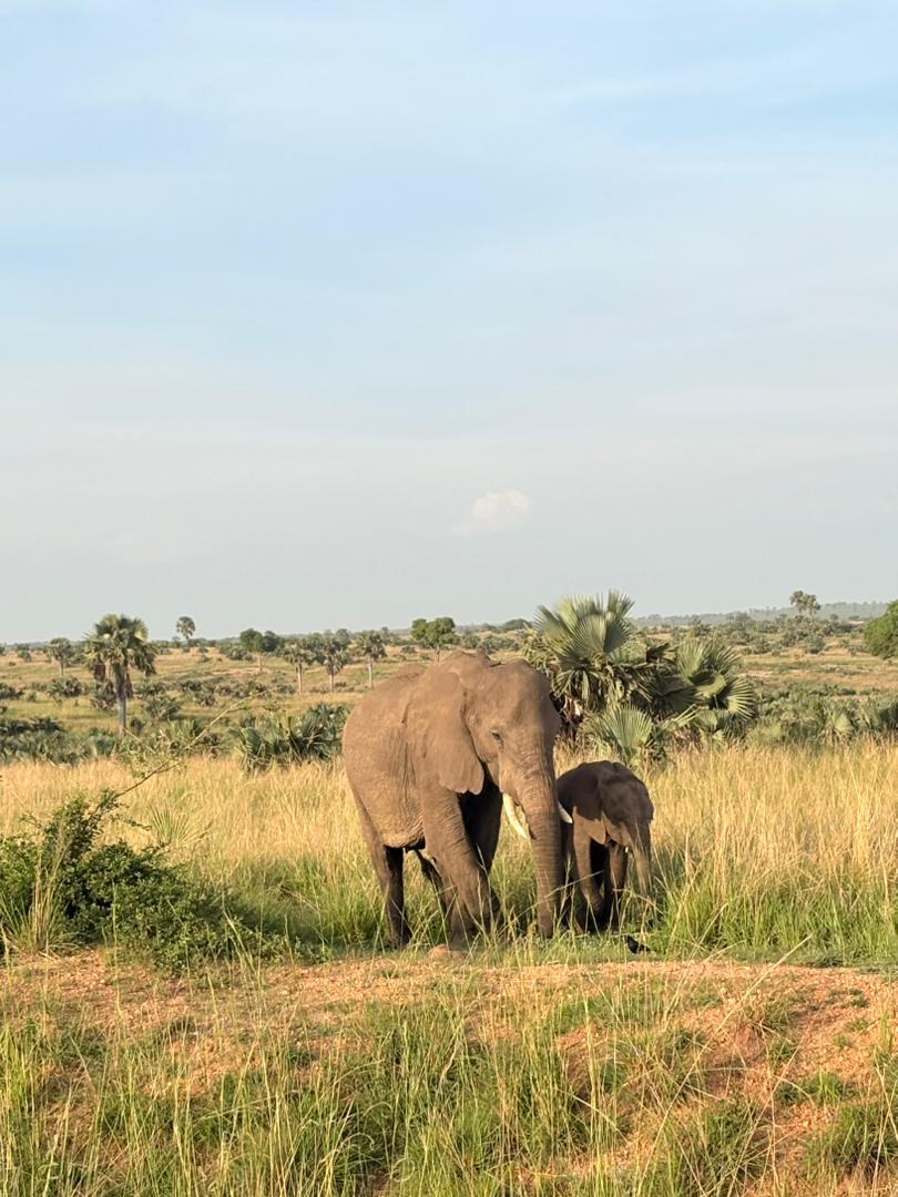 Muyaayu wild adventure safaris