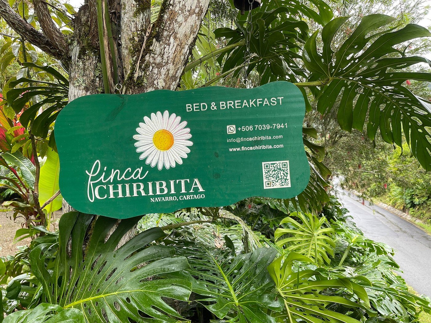 B&B Finca Chiribita