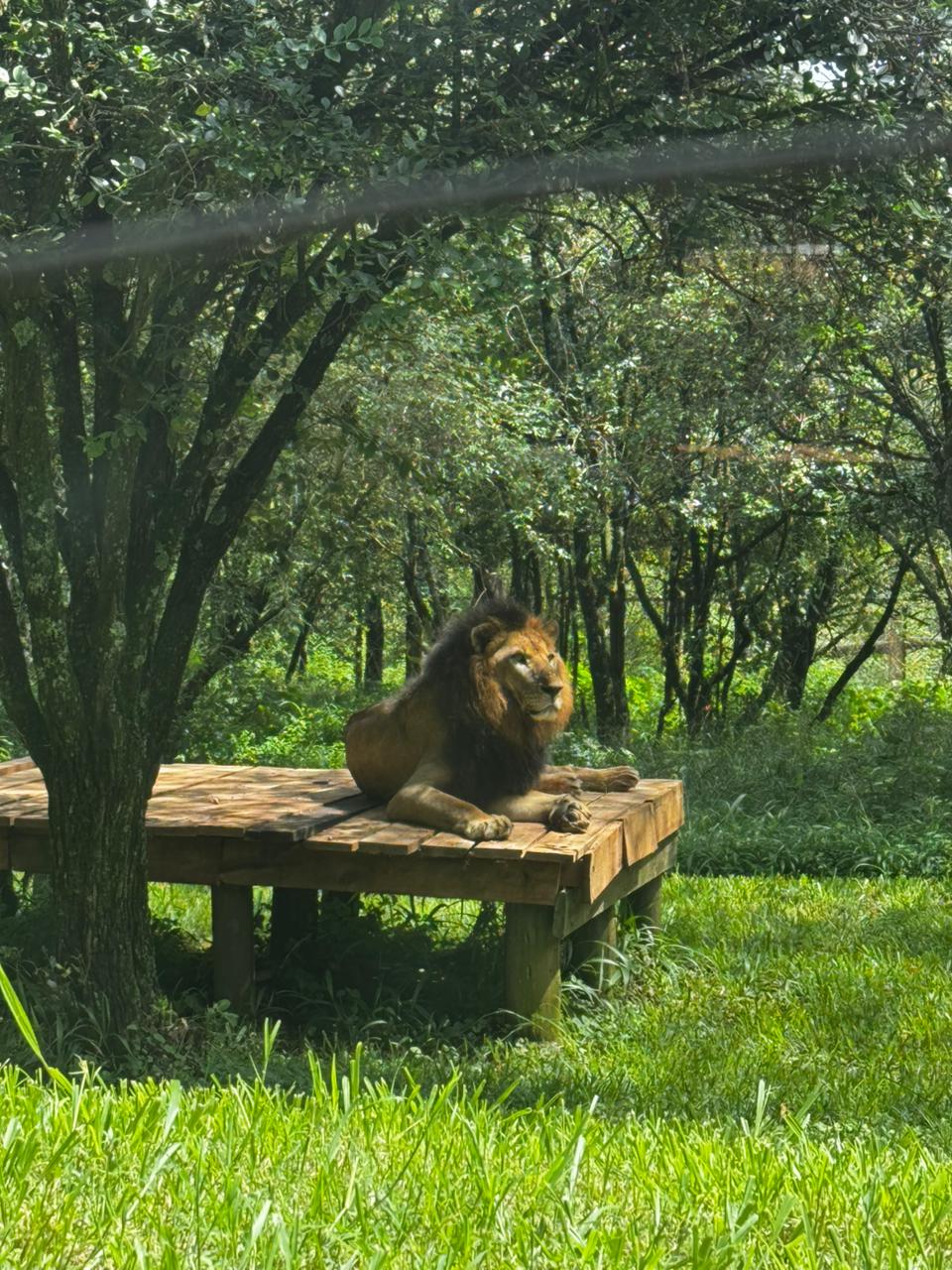 Nairobi Magical Tours