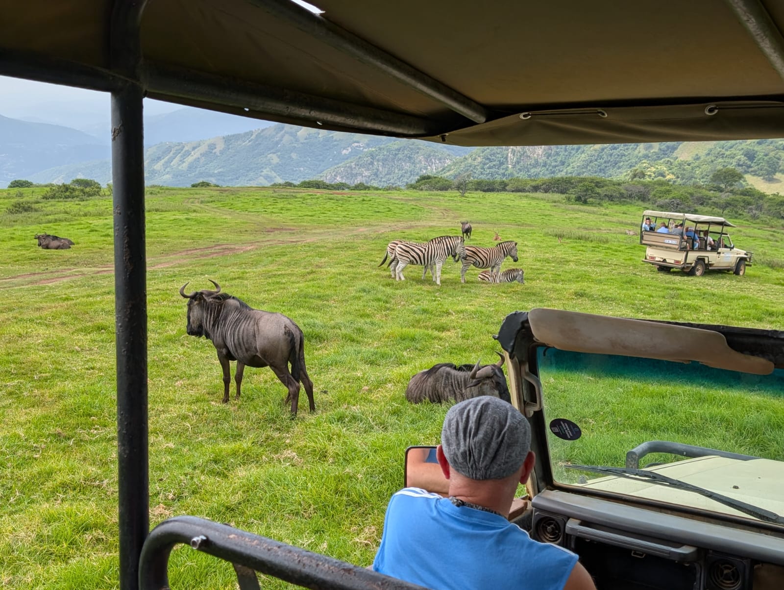 South Africa Tours