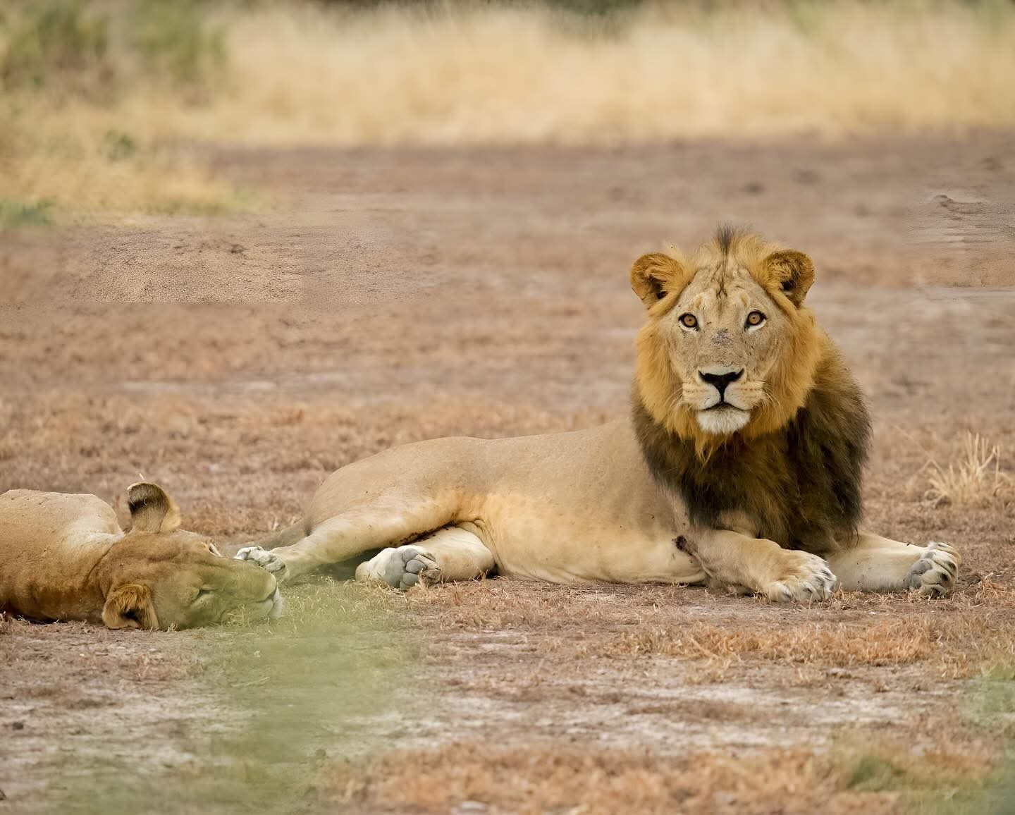 Ukarimu Safaris and Tours