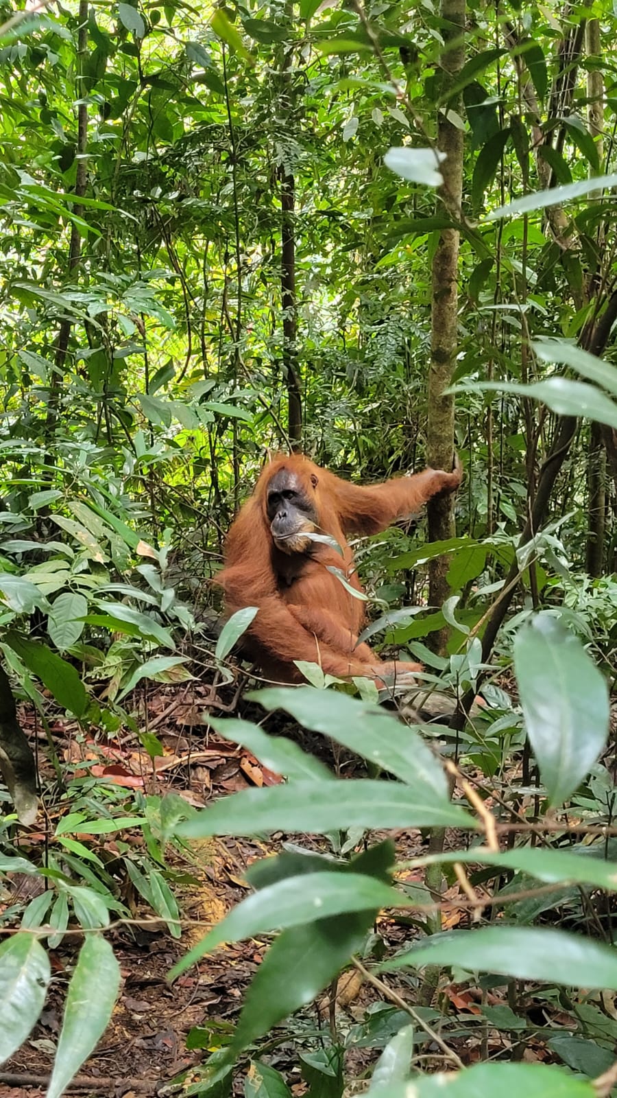 Wild Nature Trips
