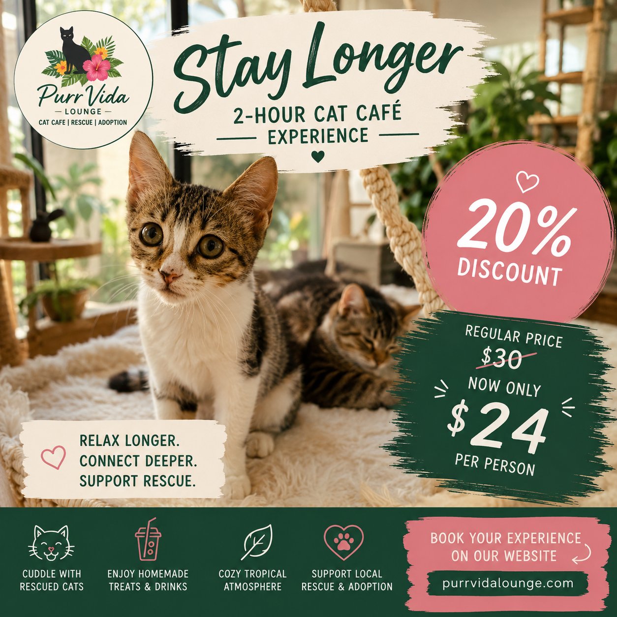 Purr Vida Lounge