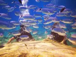 Poseidon Dive Center