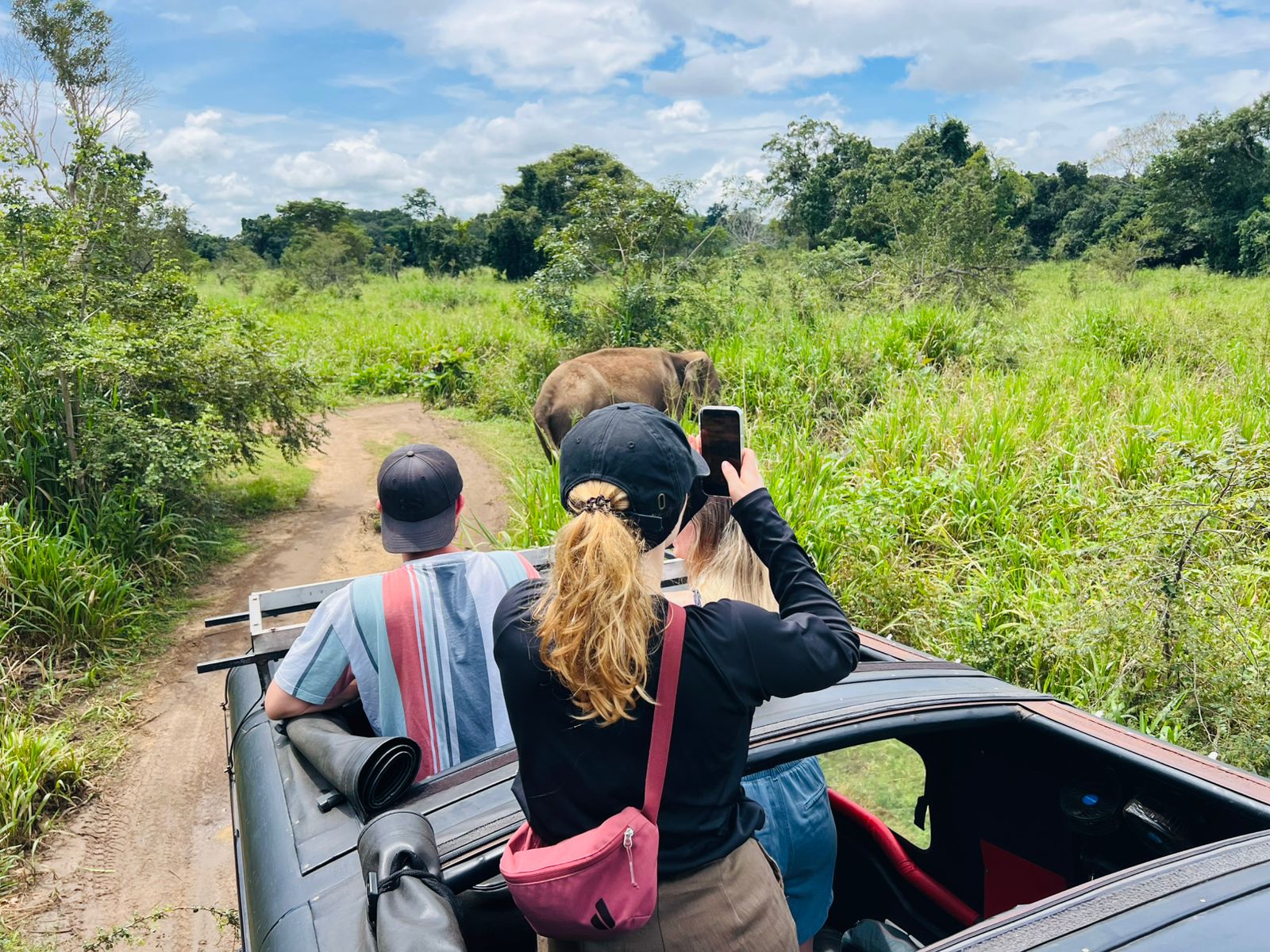 Minneriya Wild Jeep Safari