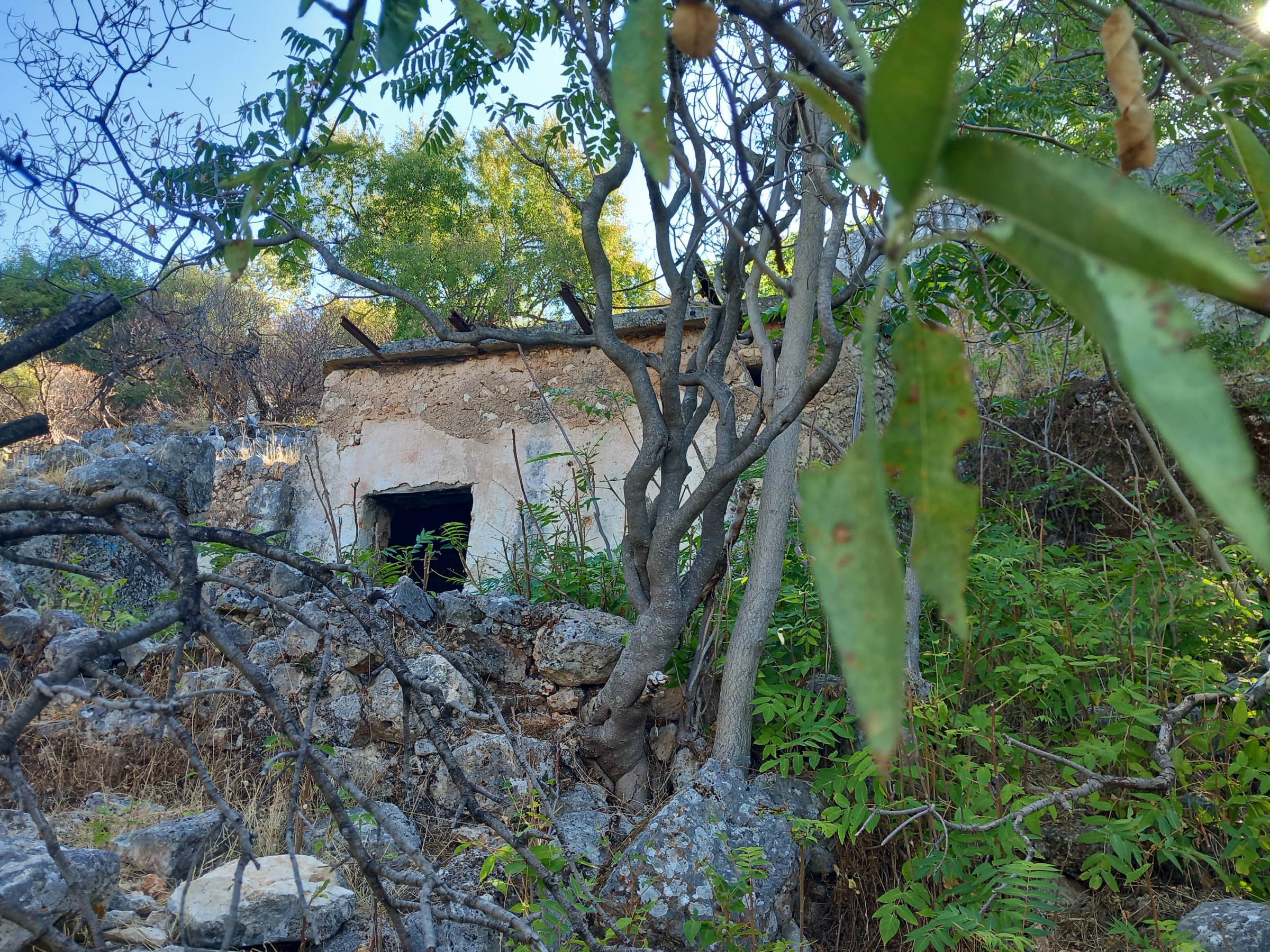 Footsteps of Farsa