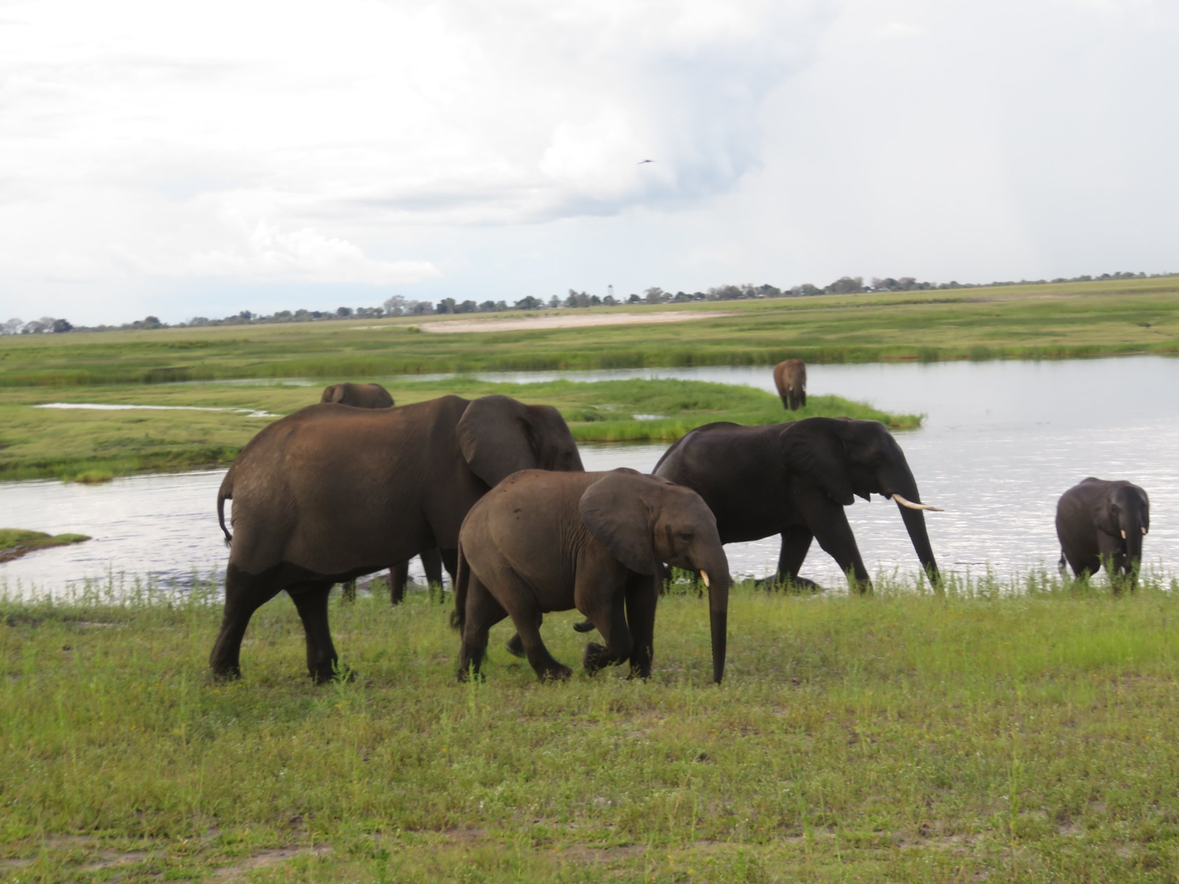 Afrimork Tours Botswana